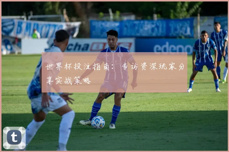 世界杯投注指南：专访资深玩家分享实战策略