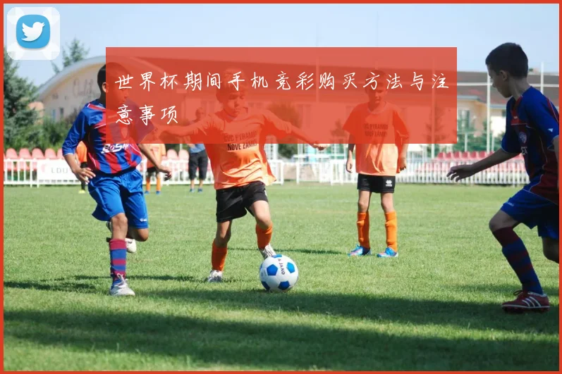 世界杯期间手机竞彩购买方法与注意事项