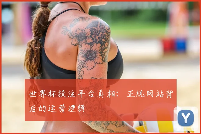 世界杯投注平台真相：正规网站背后的运营逻辑