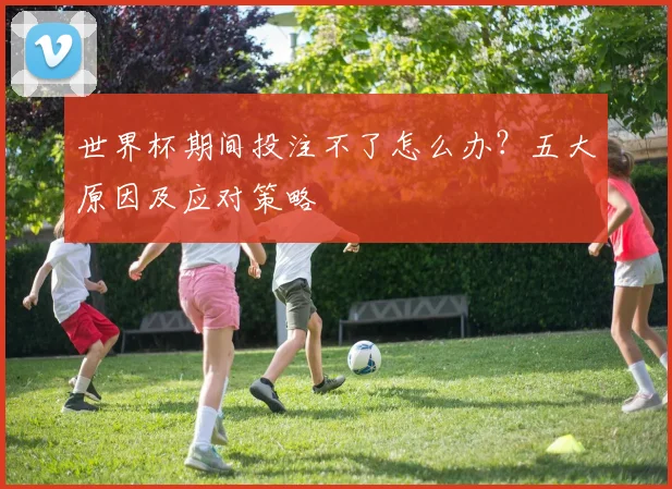 世界杯期间投注不了怎么办？五大原因及应对策略
