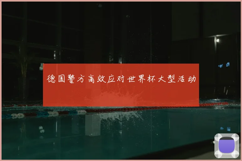德国警方高效应对世界杯大型活动